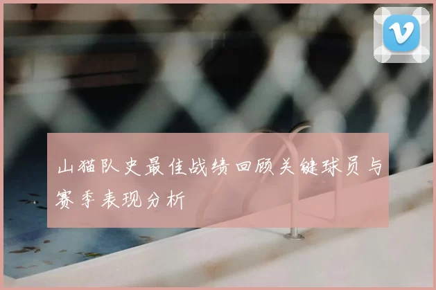 山猫队史最佳战绩回顾关键球员与赛季表现分析