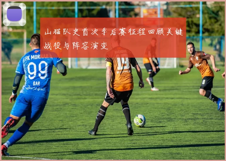 山猫队史首次季后赛征程回顾关键战役与阵容演变