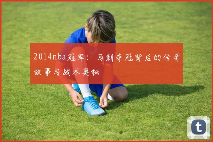2014nba冠军：马刺夺冠背后的传奇故事与战术奥秘