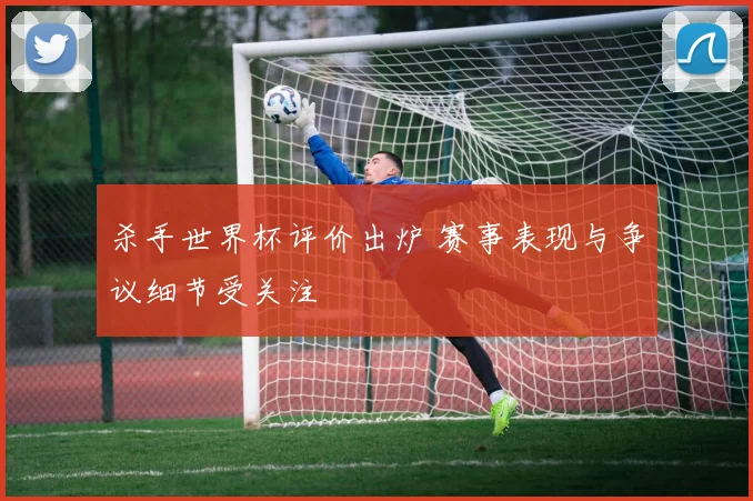 杀手世界杯评价出炉 赛事表现与争议细节受关注