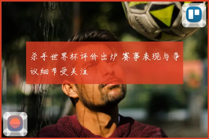 杀手世界杯评价出炉 赛事表现与争议细节受关注